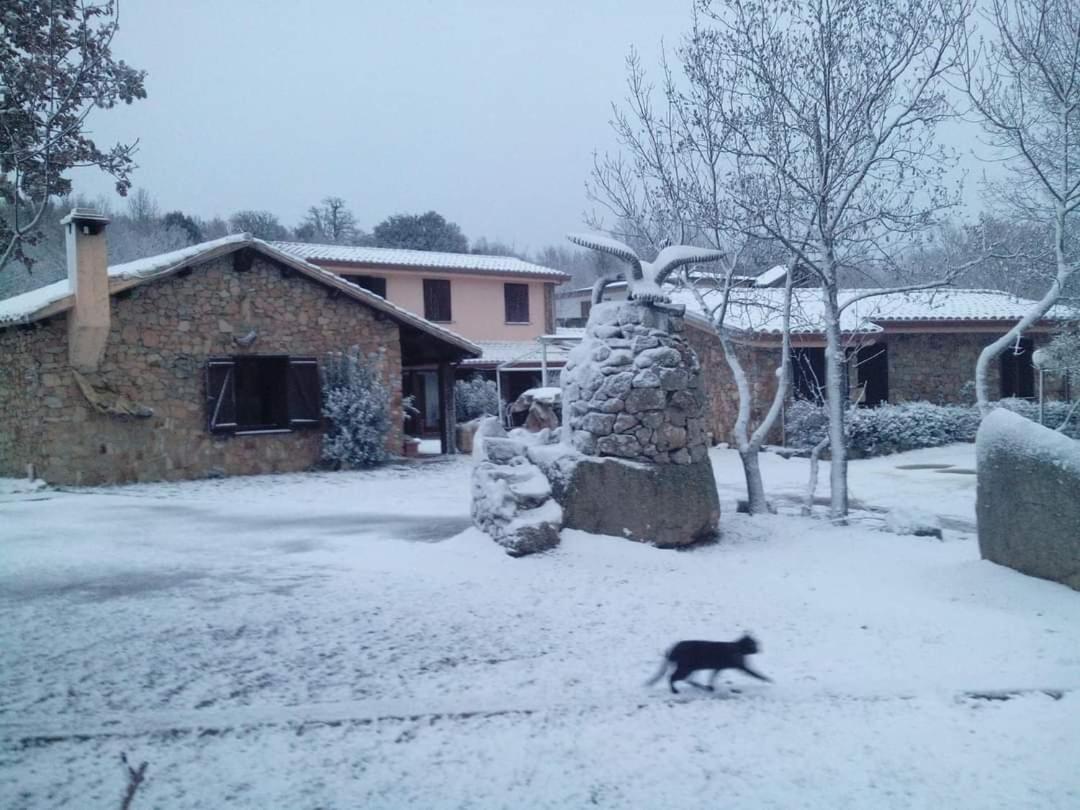 Hotel Il Nido Dell'Aquila Villanova Strisaili Exteriér fotografie